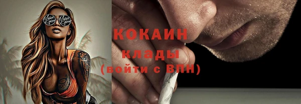 сатива Лагань