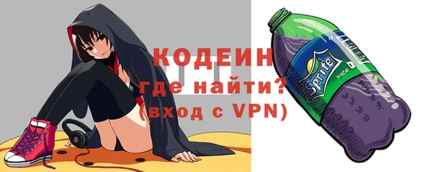индика Козельск
