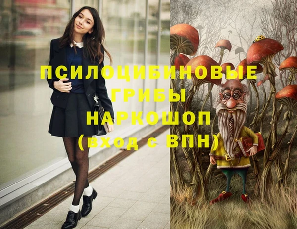сатива Лагань