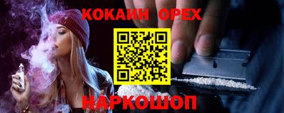 шишки Изобильный