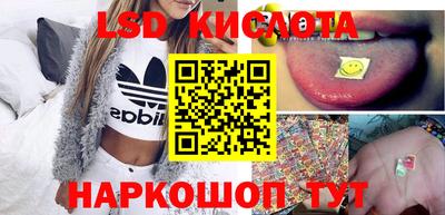 шишки Изобильный